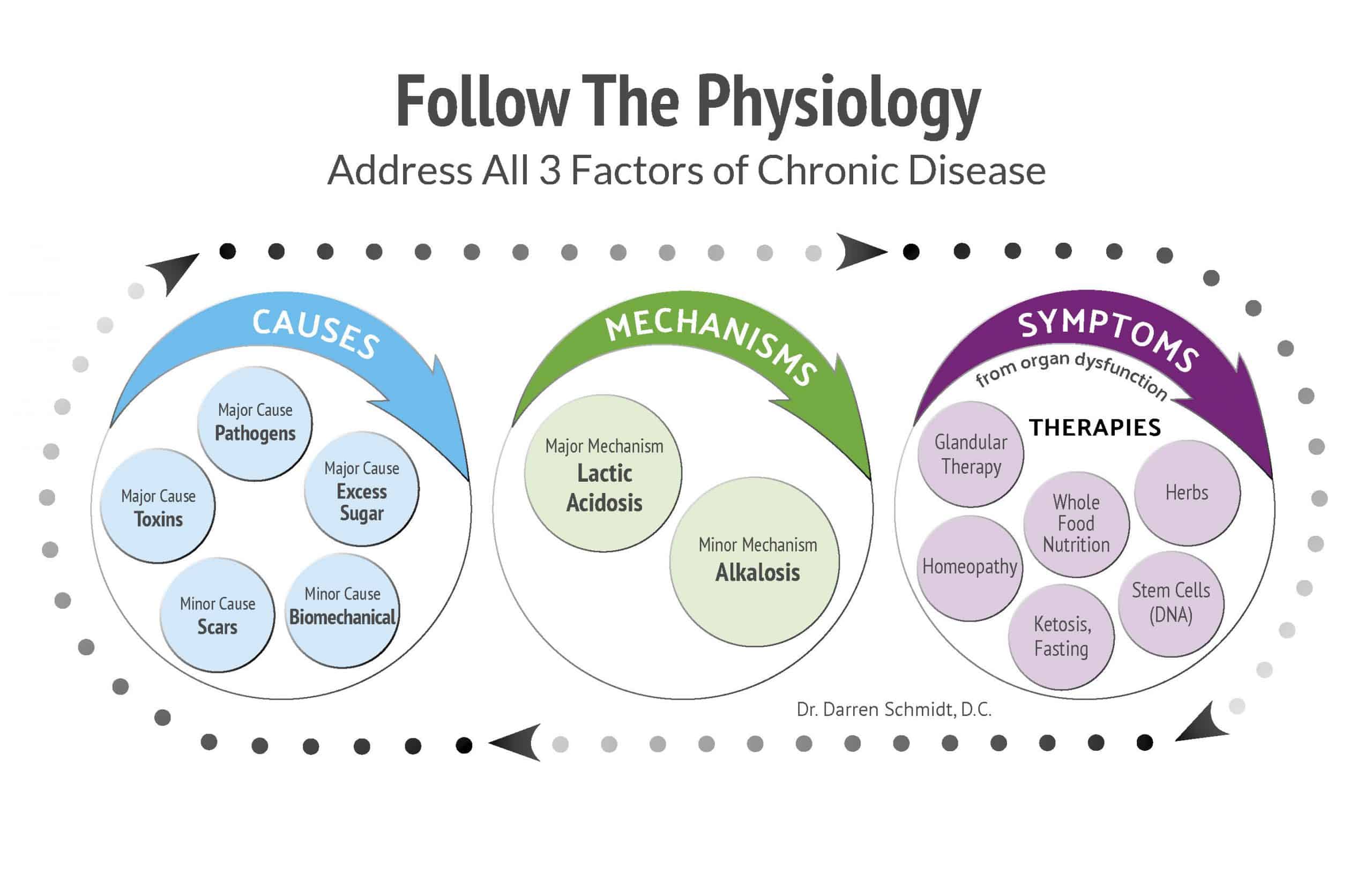 follow-the physiology graphic