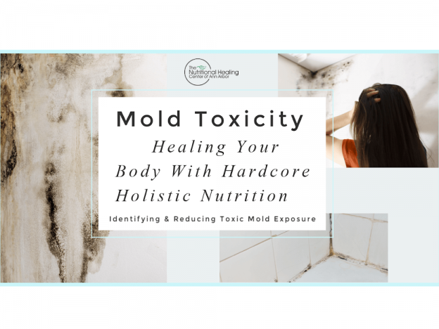 Mold Toxicity - What to do about it course image