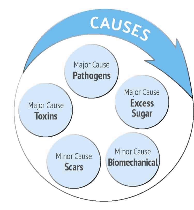causes Follow The Physiology Formula